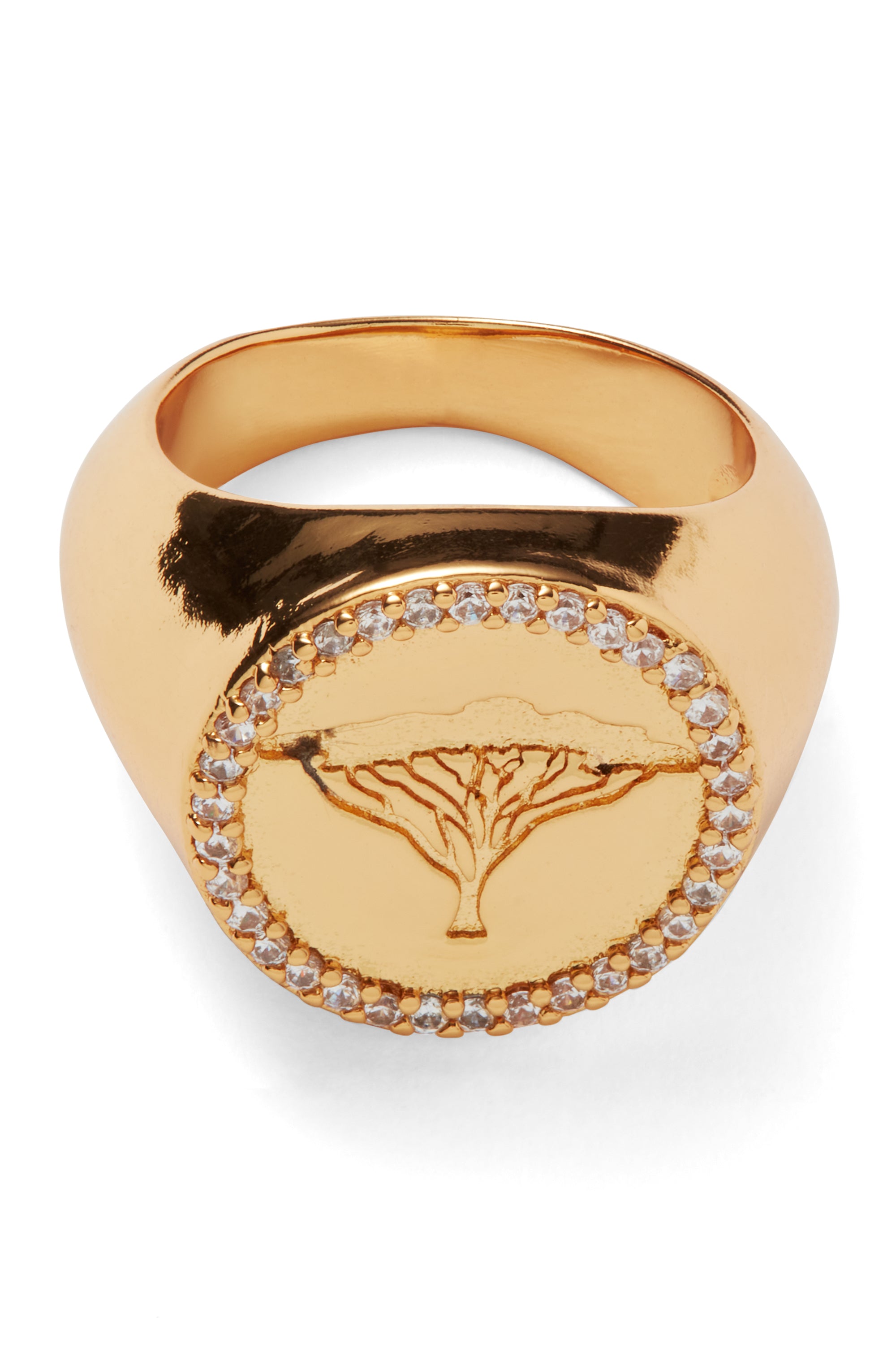 crystal haze Acacia Ring - Pave